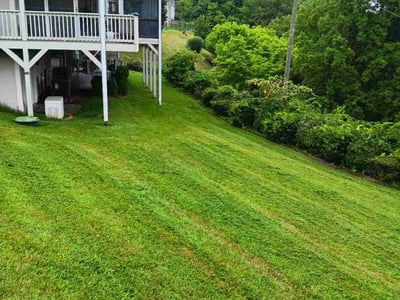 Lawn Care service in Peoria, 85345