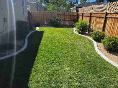 Lawn Care service in Reno, 89501