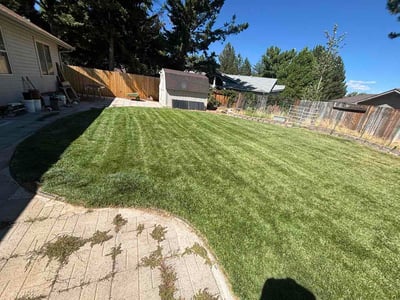 Lawn Care service in Reno, 89501