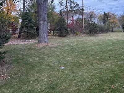 Lawn Care service in Southfield, 48075
