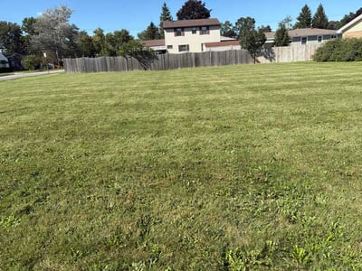 Lawn Care service in North Tonawanda, 14120