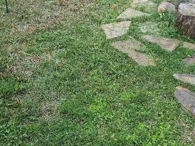 Lawn Care service in Compton, 90220