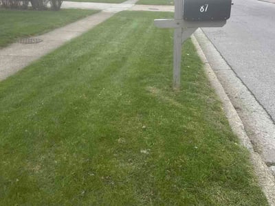 Lawn Care service in North Tonawanda, 14120