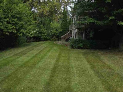 Lawn Care service in Hopkins, 55343
