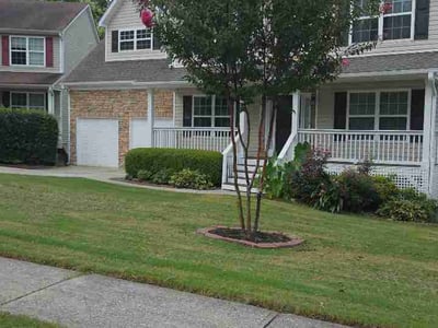 Lawn Care service in Green Valley, 85614