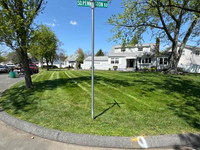 Lawn Care service in New Brunswick, 08901