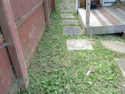 Lawn Care service in Depew, 14043