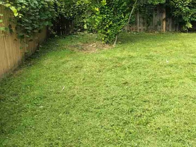 Lawn Care service in Depew, 14043