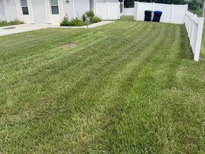 Lawn Care service in New Brunswick, 08901