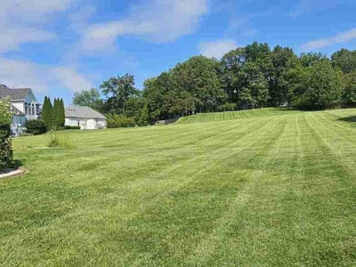 Lawn Care service in Pacific, 63069