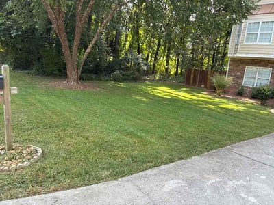 Lawn Care service in Vail, 85641