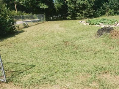 Lawn Care service in Little Rock, 72201