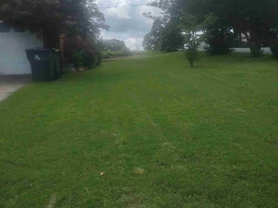 Lawn Care service in Little Rock, 72201