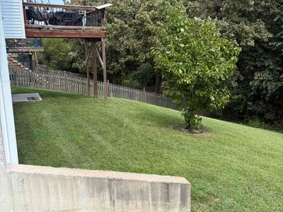 Lawn Care service in Platte City, 64079