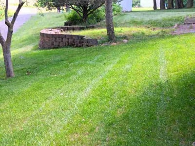 Lawn Care service in Zimmerman, 55398