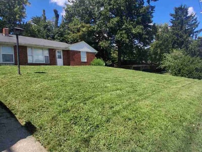 Lawn Care service in Union, 63084