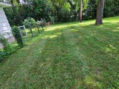 Lawn Care service in Bloomington, 55431