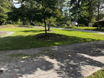 Lawn Care service in Irondale, 35210