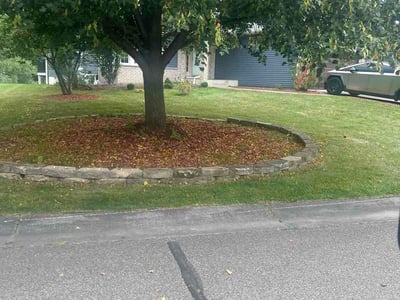 Lawn Care service in Minnetonka, 55345