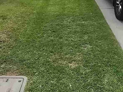 Lawn Care service in Moreno Valley, 92557