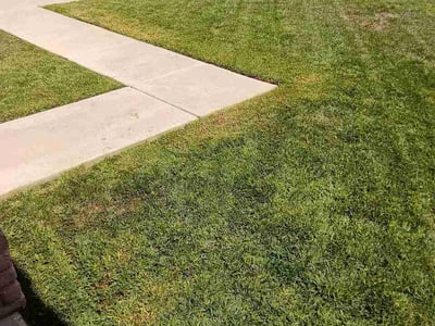 Lawn Care service in Moreno Valley, 92557