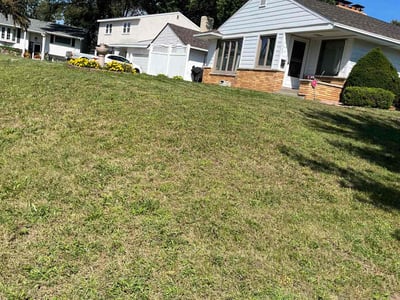 Lawn Care service in North Branch, 55056