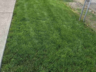 Lawn Care service in Fort Lee, 07024