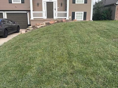 Lawn Care service in Fort Lee, 07024
