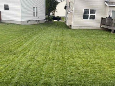 Lawn Care service in Florissant, 63031