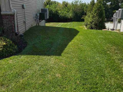 Lawn Care service in Festus, 63028