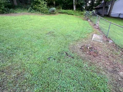 Lawn Care service in Birmingham, 35203