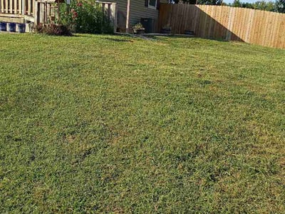 Lawn Care service in Lawson, 64062