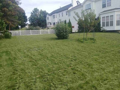 Lawn Care service in Ozark, 65721