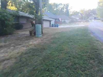 Leaf Removal service in Springdale, 72764
