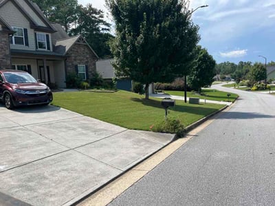 Lawn Care service in Santa Cruz, 95060