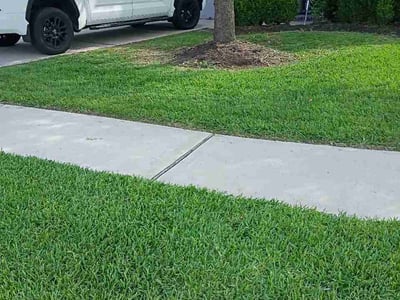 Lawn Care service in Goleta, 93117