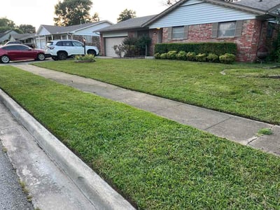 Lawn Care service in Watsonville, 95076