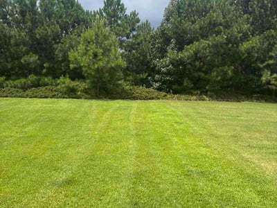 Lawn Care service in Mill Valley, 94941