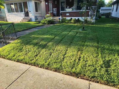 Lawn Care service in Cape May, 08204