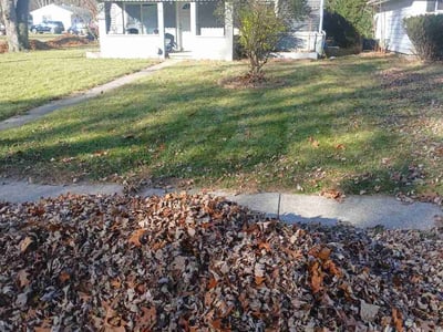 Leaf Removal service in Woodbury, 55125