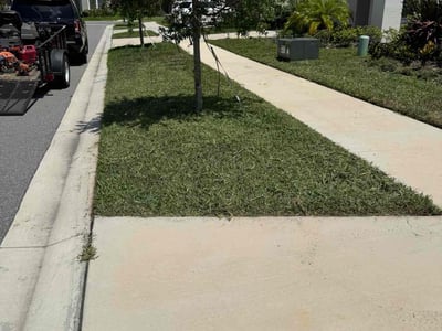 Lawn Care service in Middle Village, 11379