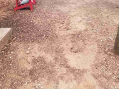 Lawn Care service in Monterey, 93940
