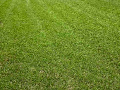 Lawn Care service in Monterey, 93940