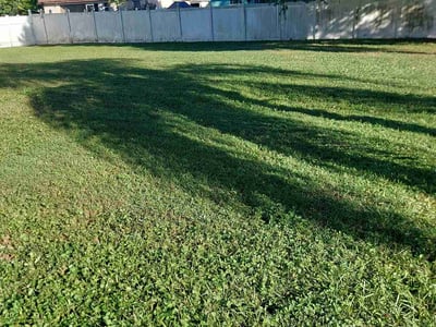 Lawn Care service in Monterey, 93940