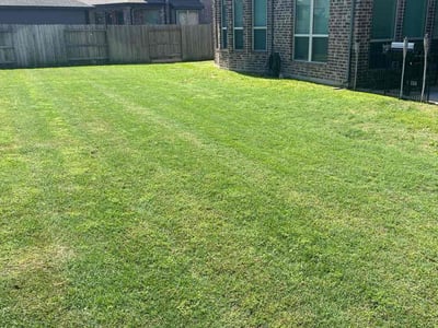 Lawn Care service in Monterey, 93940