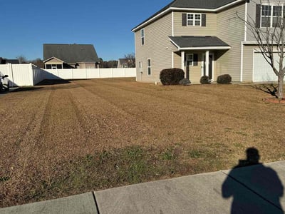 Lawn Care service in Monterey, 93940