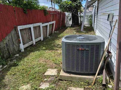 Leaf Removal service in Zephyrhills, 33542