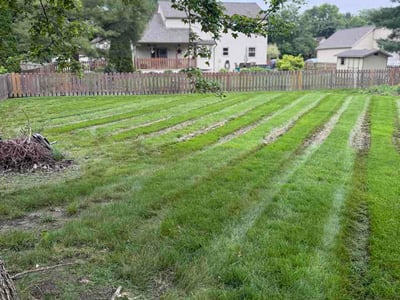 Lawn Care service in Berlin, 21811