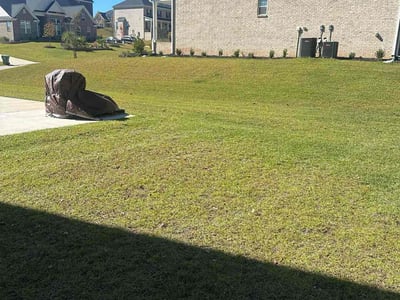 Lawn Care service in Garfield, 07026