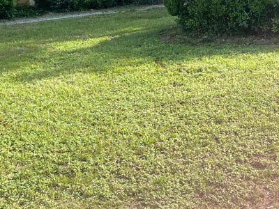 Lawn Care service in Seaside, 93955